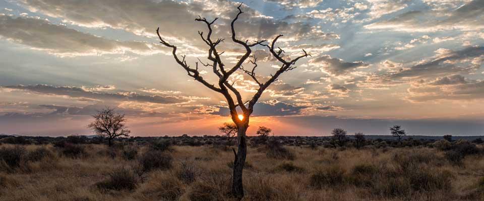 Naankuse Lodge Windhoek Buitenkant foto
