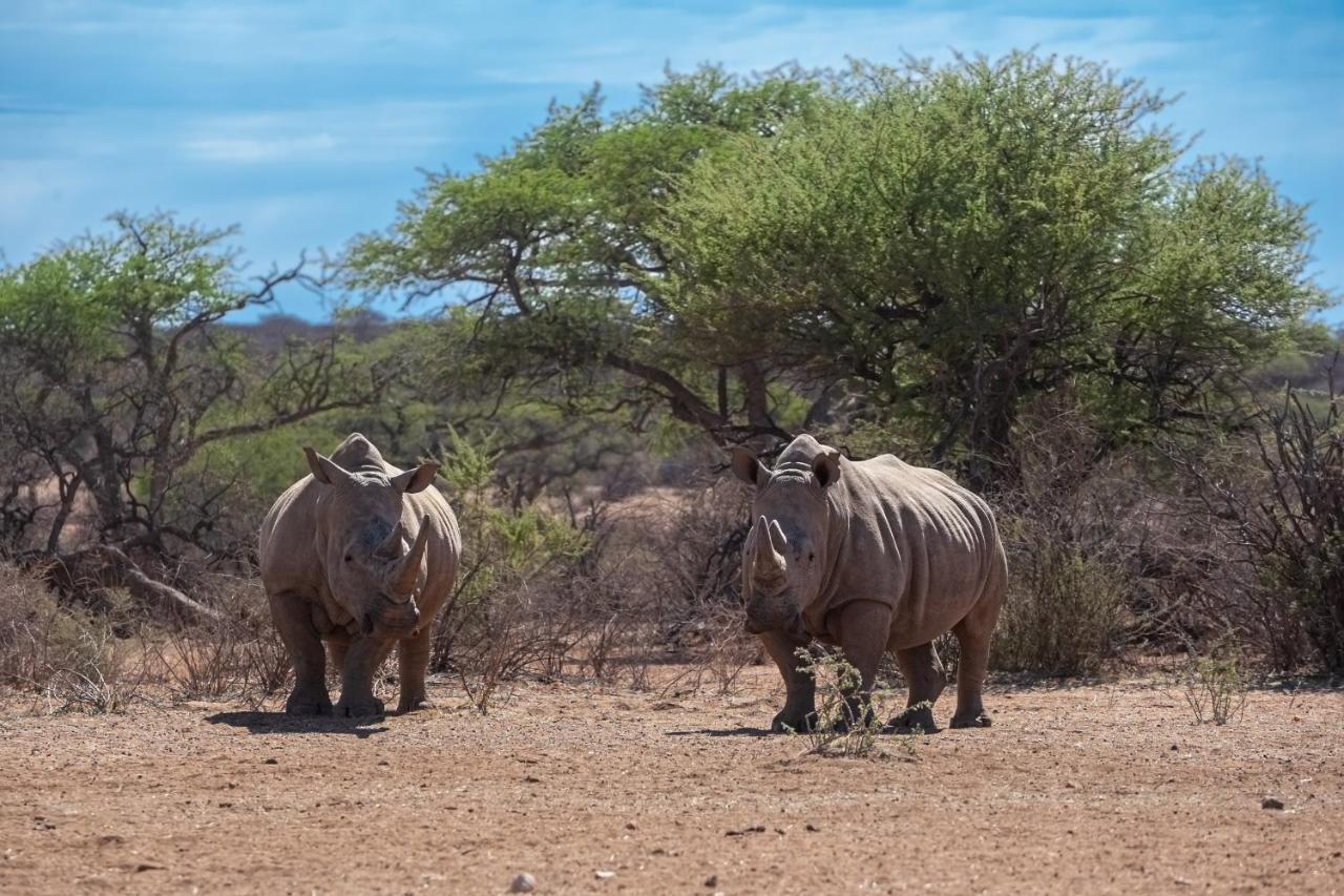 Naankuse Lodge Windhoek Buitenkant foto