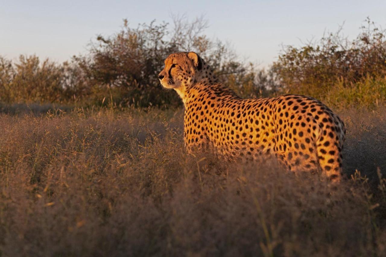 Naankuse Lodge Windhoek Buitenkant foto